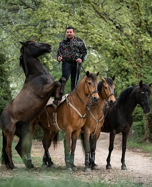 1 cavalier debout sur 2 chevaux et 2 chevaux en liberté donc 1 cabre