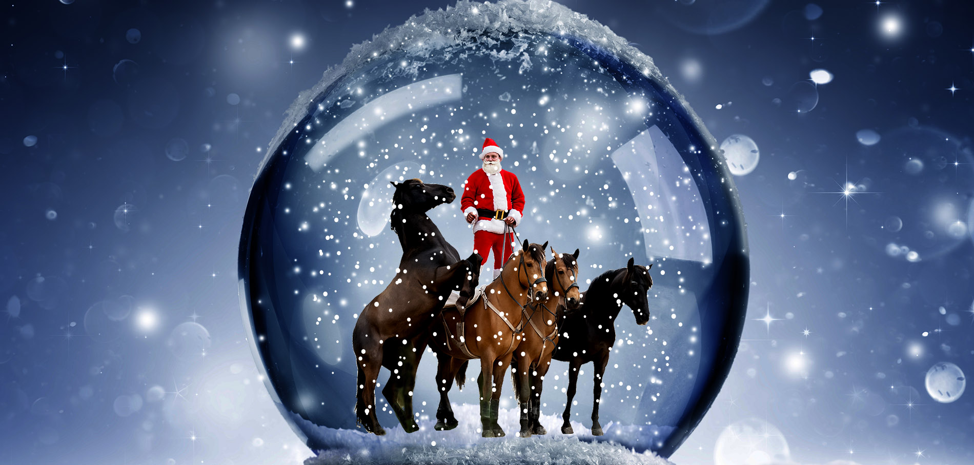 Benoît Soumille en costume de Père Noël avec ses 4 chevaux de poste hongroise