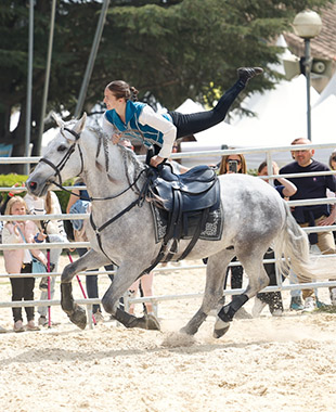 1 cavalière en équilibre sur le côté d'un cheval au galop